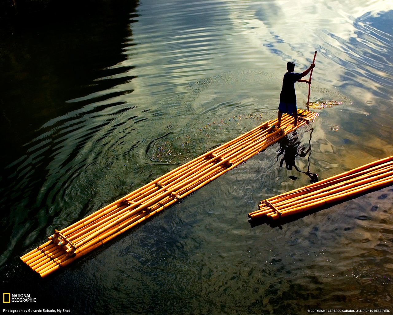 Bamboo Wallpaper: Bamboo Wallpaper Collection 40-50 - Nature Bamboo