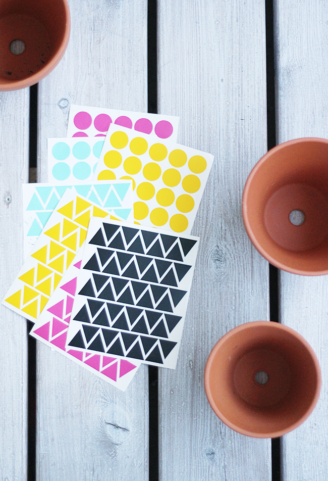 Pinjacolada easy plant pot decoration