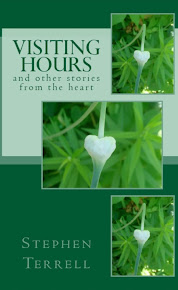 Visiting Hours and Other Stories from the Heart