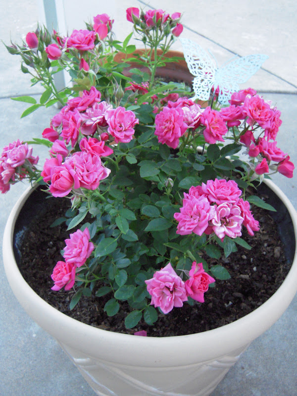 nätdejting 2012 olycka