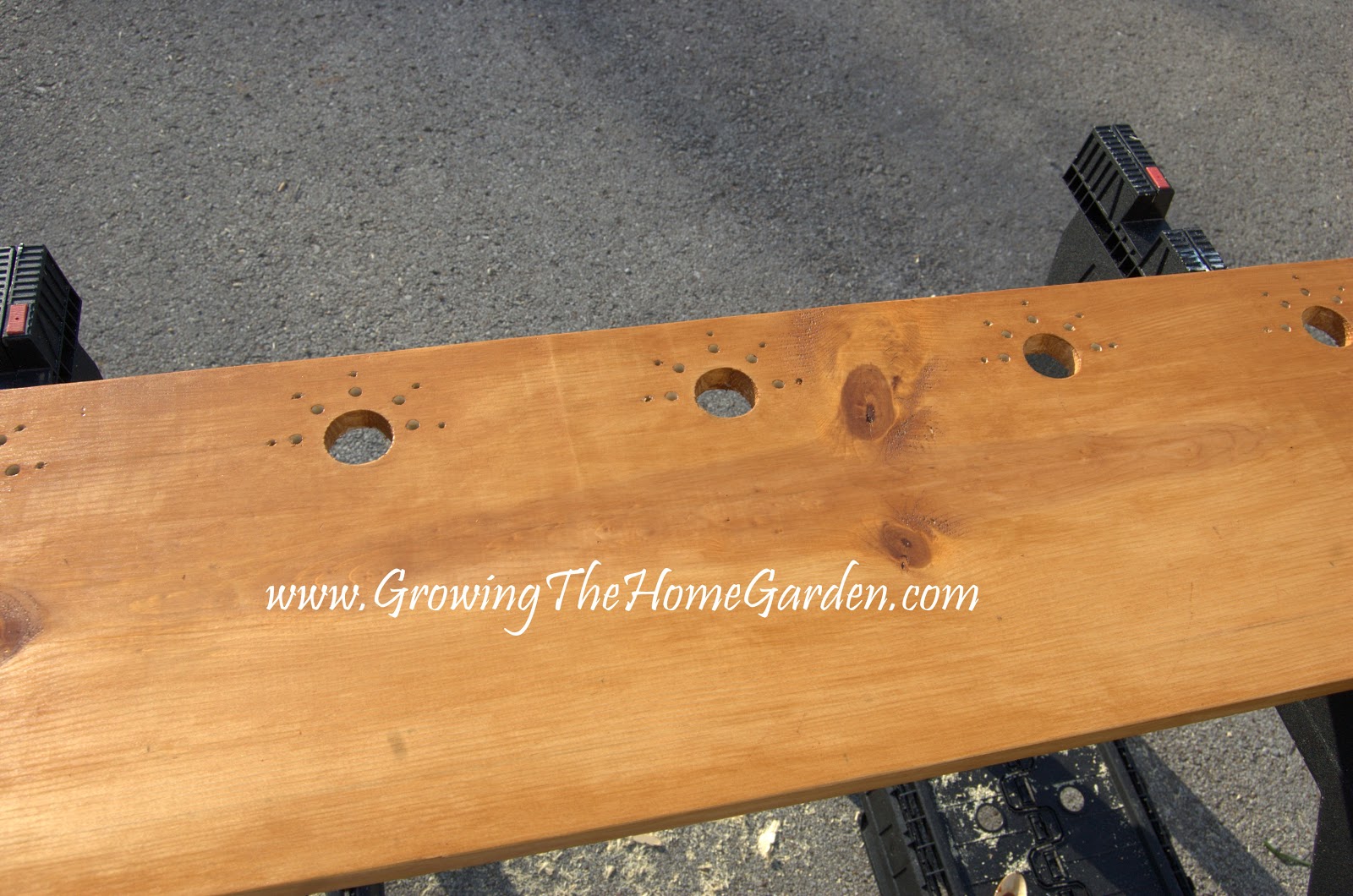 An Indoor Hanging Wall Planter Garden - Growing The Home Garden