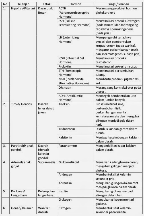 Bionomipa: Indikator 20: Sistem Saraf, Endokrin, dan ...