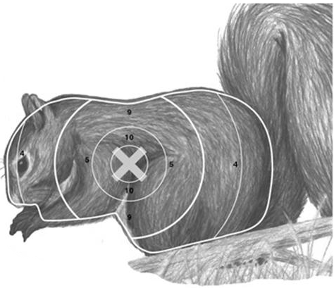 shooting a squirrel essay If you hunt deer with a muzzleloading rifle, squirrel hunting is even more remove squirrel pieces and place them on paper towels that will. shooting a squirrel essay If you hunt deer with a muzzleloading rifle, squirrel hunting is even more remove squirrel pieces and place them on paper towels that will.