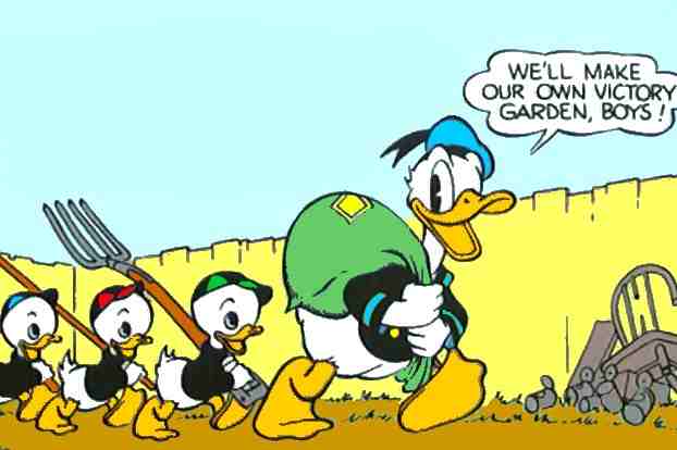 Share Our Garden V Is For Victory