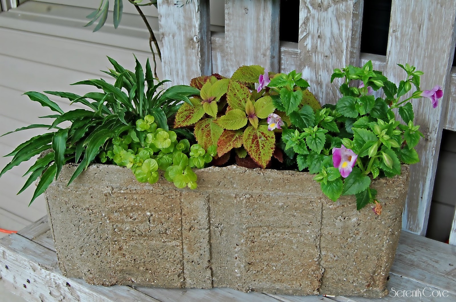 Serenity Cove Hypertufa Planters