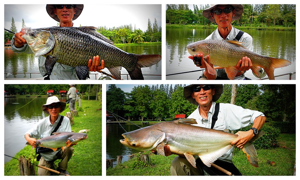 DLoop Spey Casting Pond Fishing with Twohanded Rod