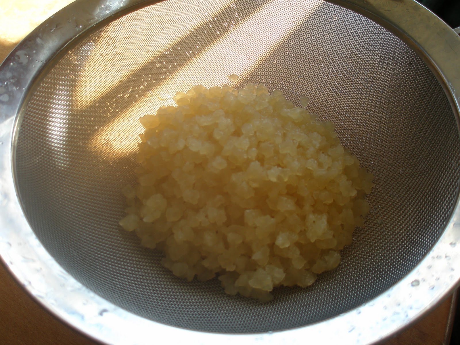 Eating Modern Foods with an Ancestral View Brewing Water Kefir, part 1