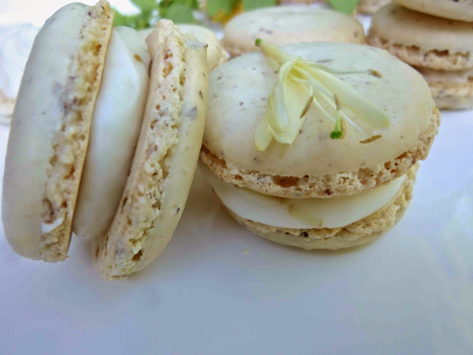 Vanilla French Macarons with Honeysuckle Buttercream Filling