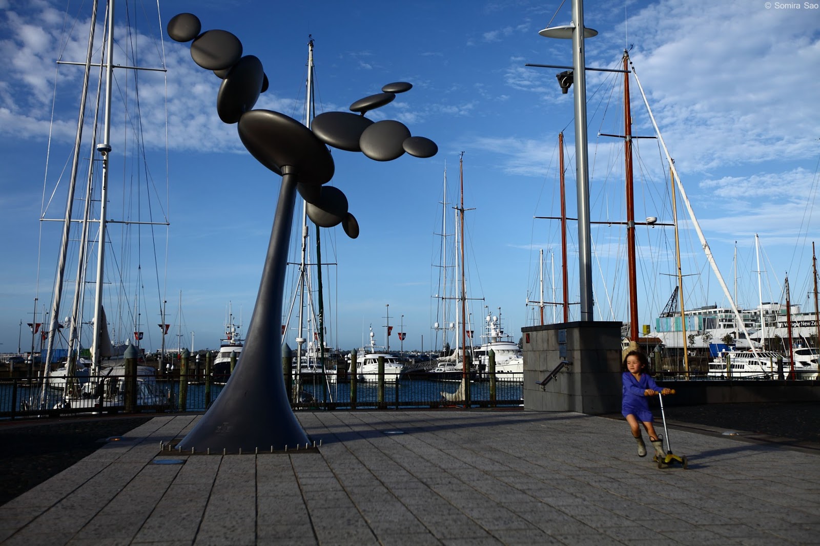 Anasazi Racing cytoplasm, by phil price