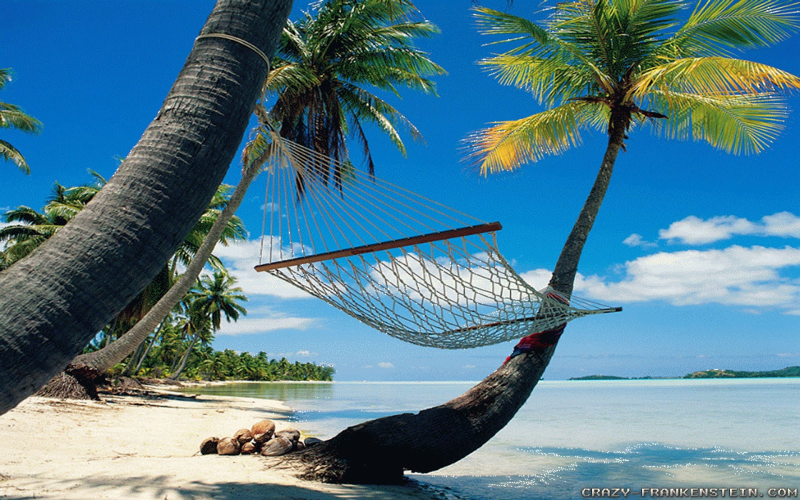 RINCON MULTIMEDIA: LAS MEJORES PLAYAS DE ESTADOS UNIDOS Y DE MEXICO