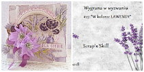 Wygrałam wyzwanie-1,9