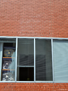 window faces window faces