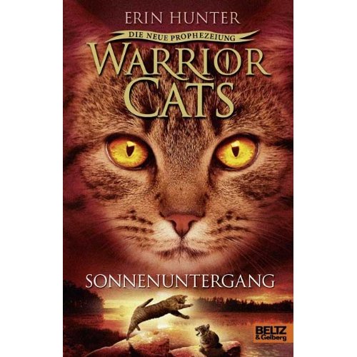 Die Katzen auf den Einbänden - Seite 2 Warrior+Cats+Sonnenuntergang