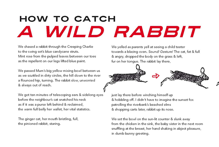 The Jane Day Reader How to Catch a Wild Rabbit