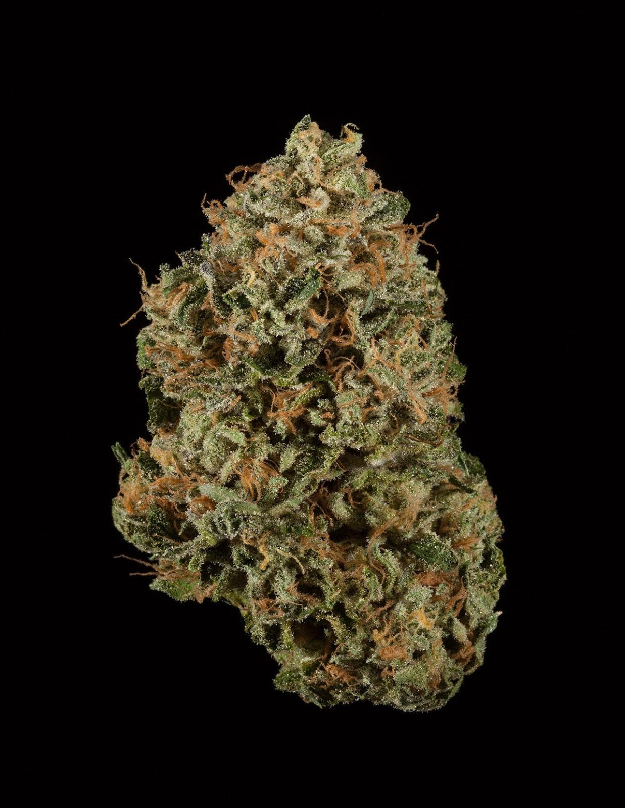 Zkittles Zkittles