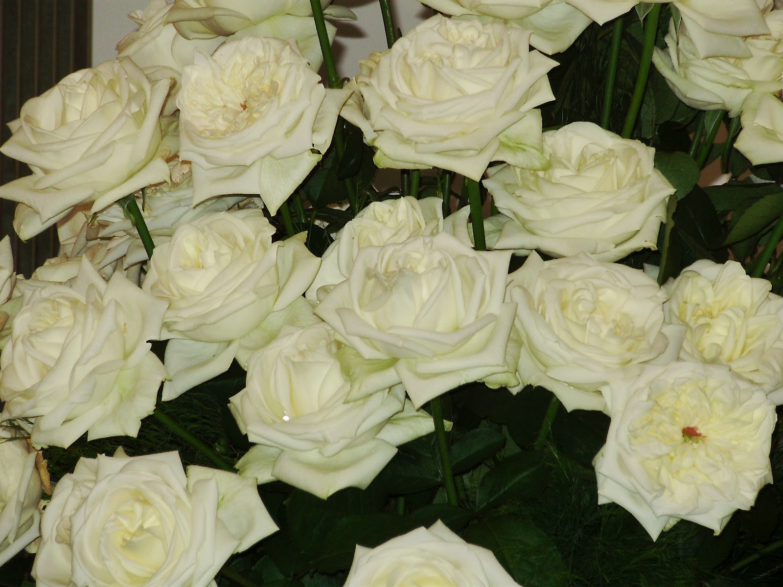 DK's Craft Café Happy Easter! Roses for You )