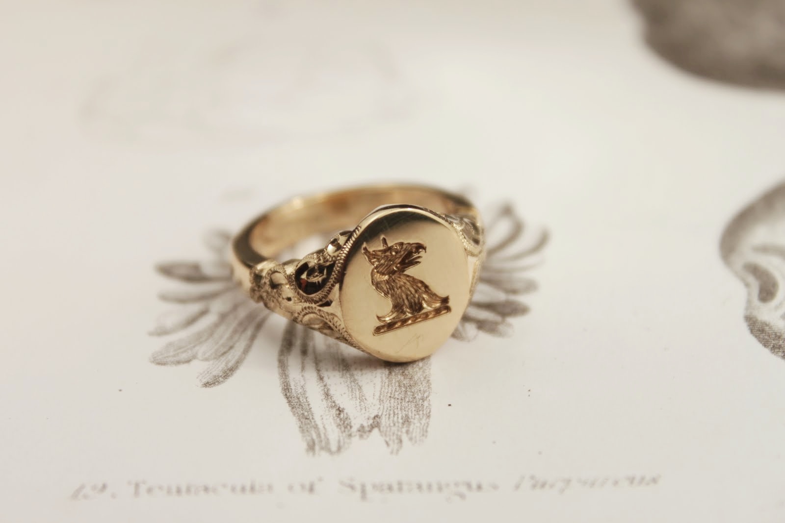 Barneys Ny In Ginza バーニーズny受注会 銀座店 Rust London