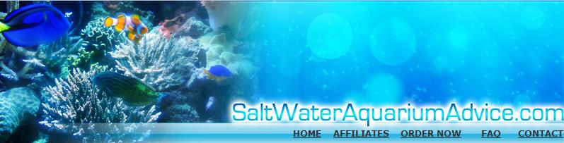 Salt Water Aquarium Mastery