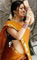 Nisha, shetty, hot, navel, in, saree, pics