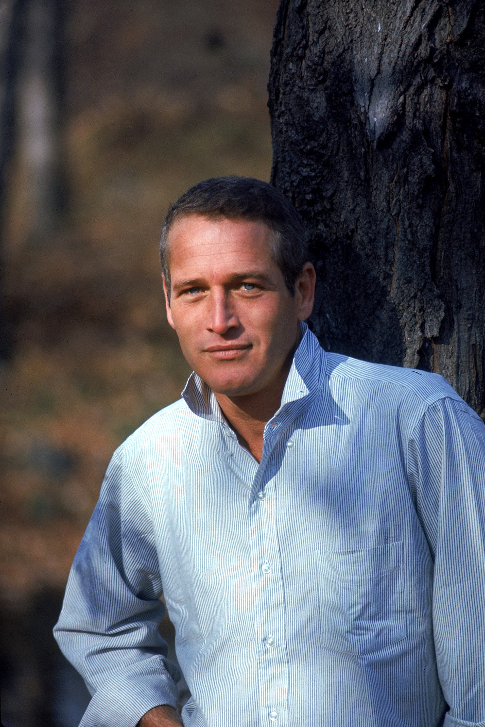 love those classic movies pictures paul newman love those classic movies pictures paul newman