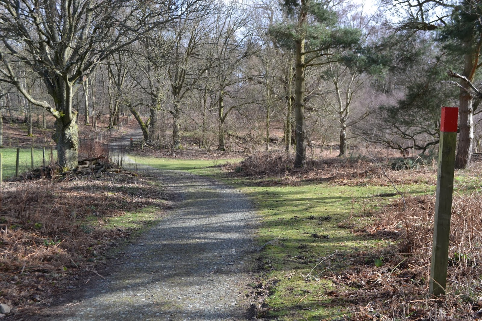 Exploring North Wales Woodland Walk at Chirk Castle