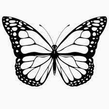 Planse De Colorat Si Fise Pentru Copii Fluturi Planse De Colorat Cu Insecte