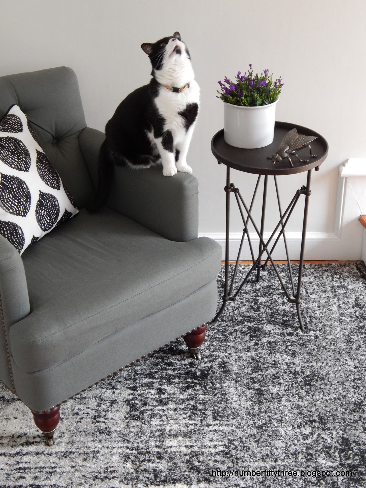 Number FiftyThree Vintage/Modern Bold Rugs Review