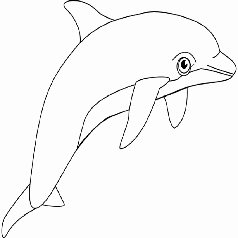 Dolphin Coloring Pages - Kidsuki