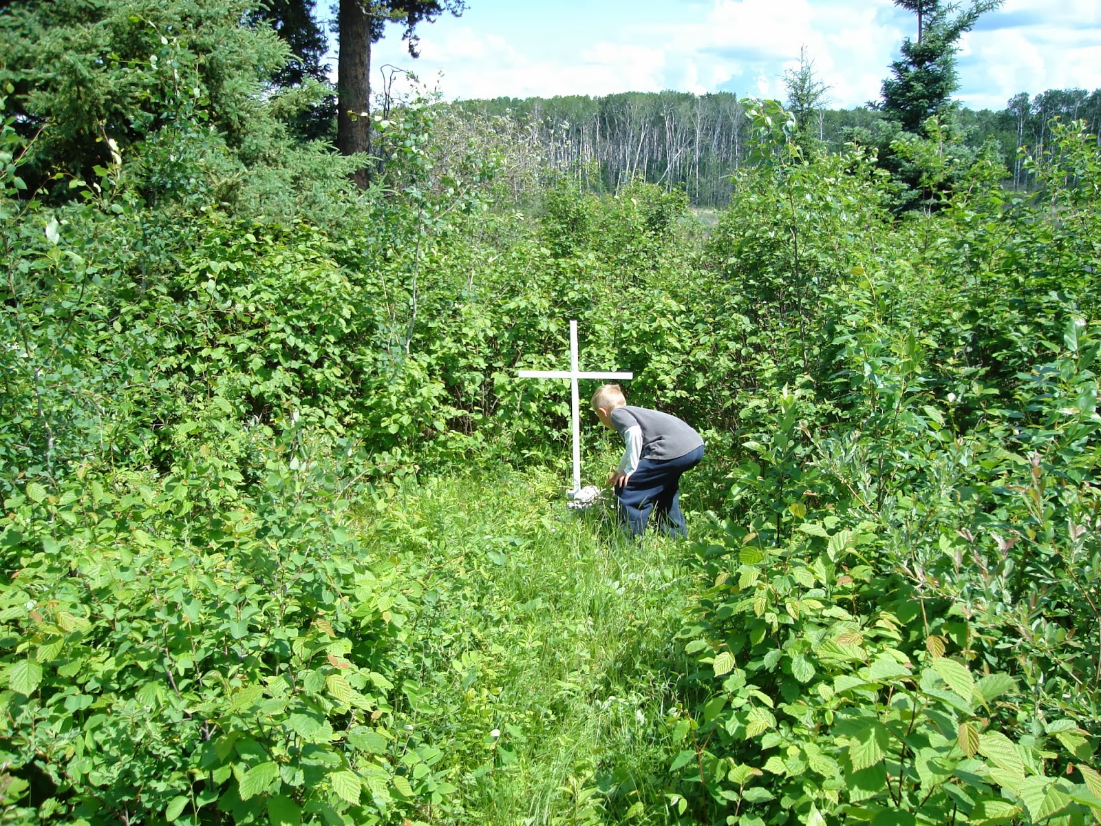 Sask Trail Riders Fort a la Corne Forest Review