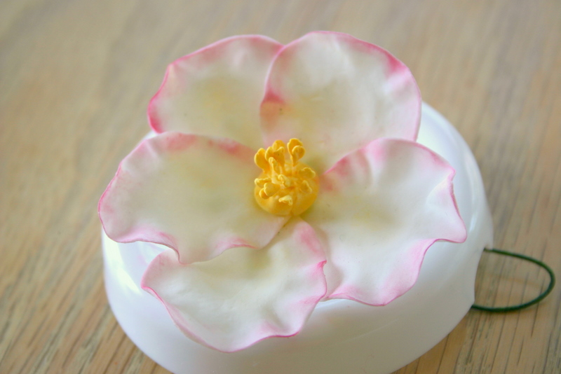 My Chaotic World Advanced Gumpaste Class with Wilton