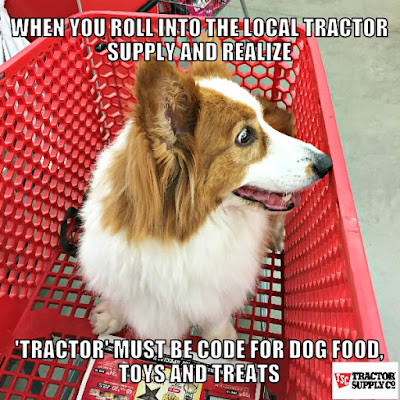 Tractor Supply Dog Training Classes Tractor Supply Dog Training Classes