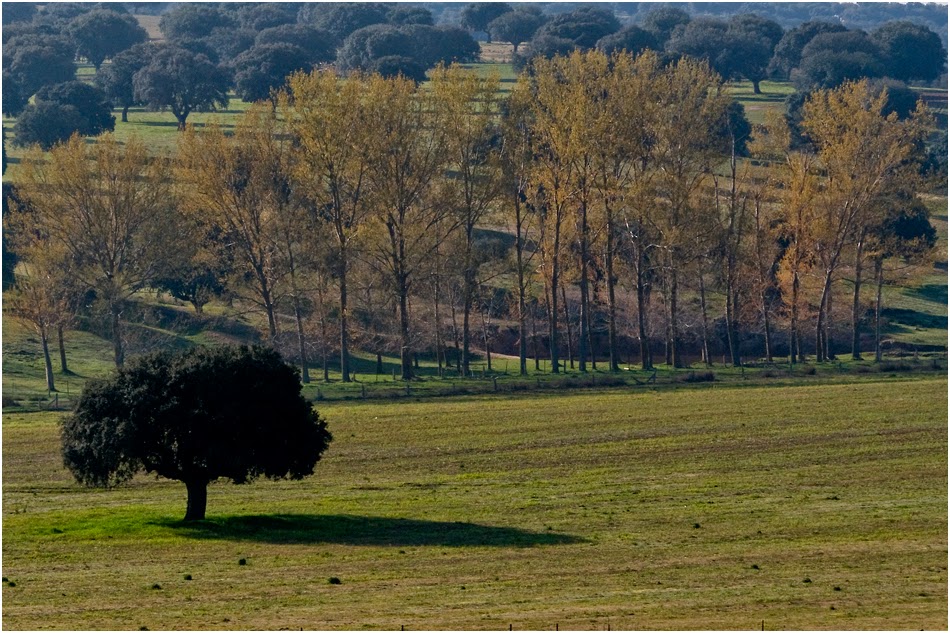 Naturaleza y Etnografía El Encinar