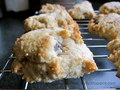 levain bakery low sugar cookie recipe