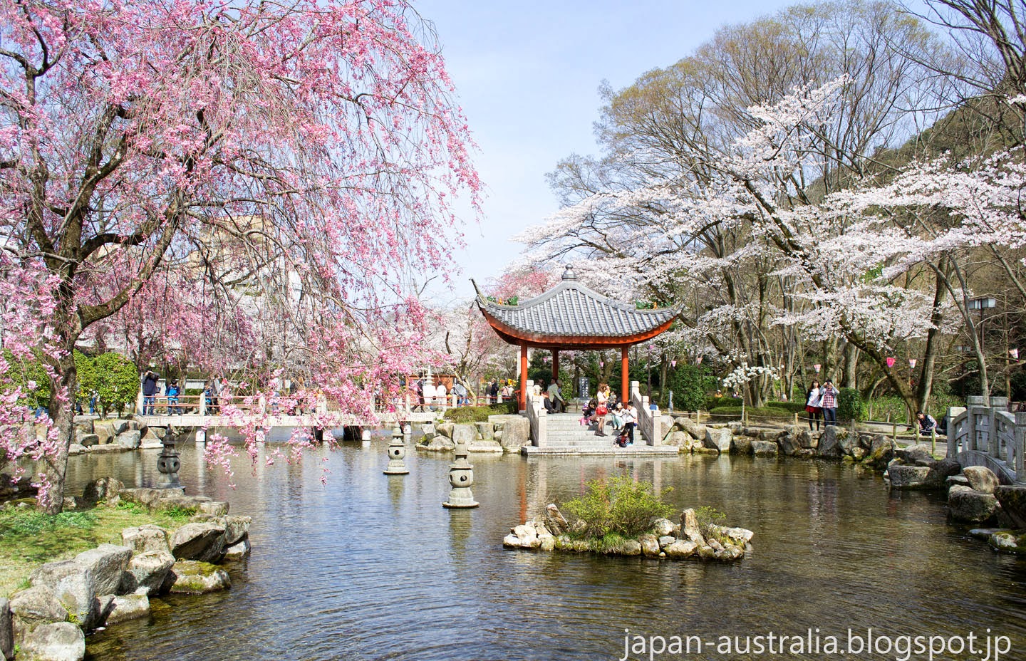 Japan Australia: Best Cherry Blossom Spots in Gifu