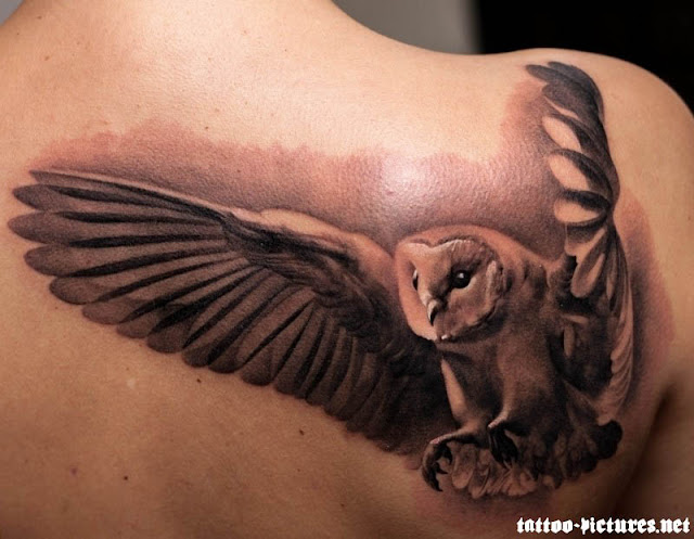 Owl Tattoos