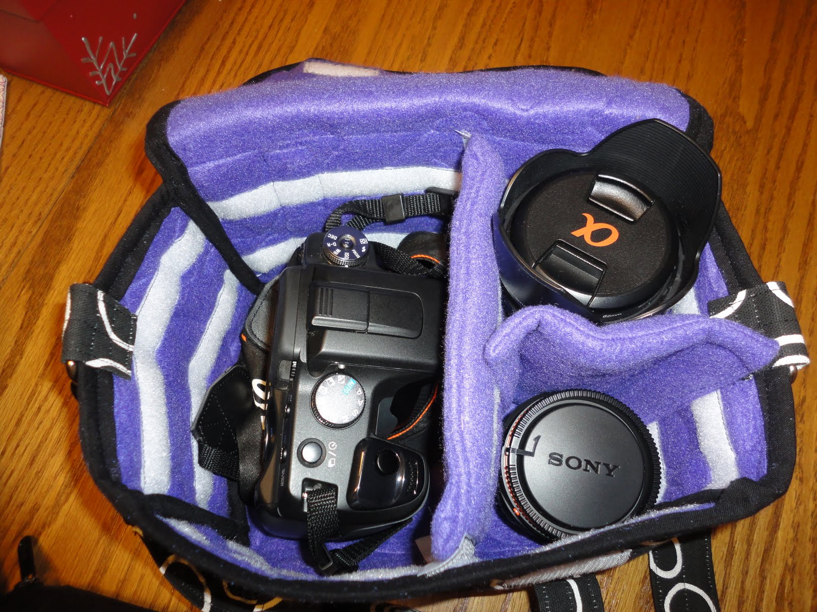 MandiMoo Designs Custom camera bag