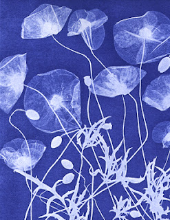 gilbert garcin la rencontre de moebius