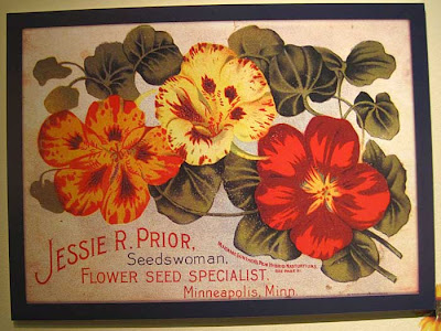 Litho of yellow and orange nasturtiums