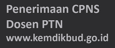 Penerimaan CPNS Dosen PTN Kemdikbud www.kemdikbud.go.id - Desember