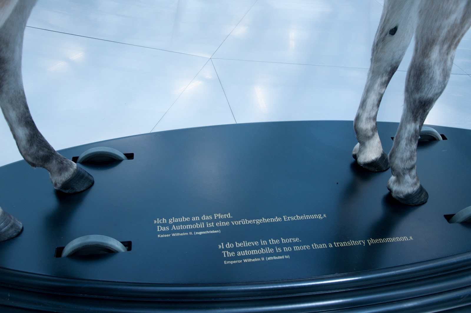 Horses Rhythm Speed And Impulsion That S All A Huge Mess