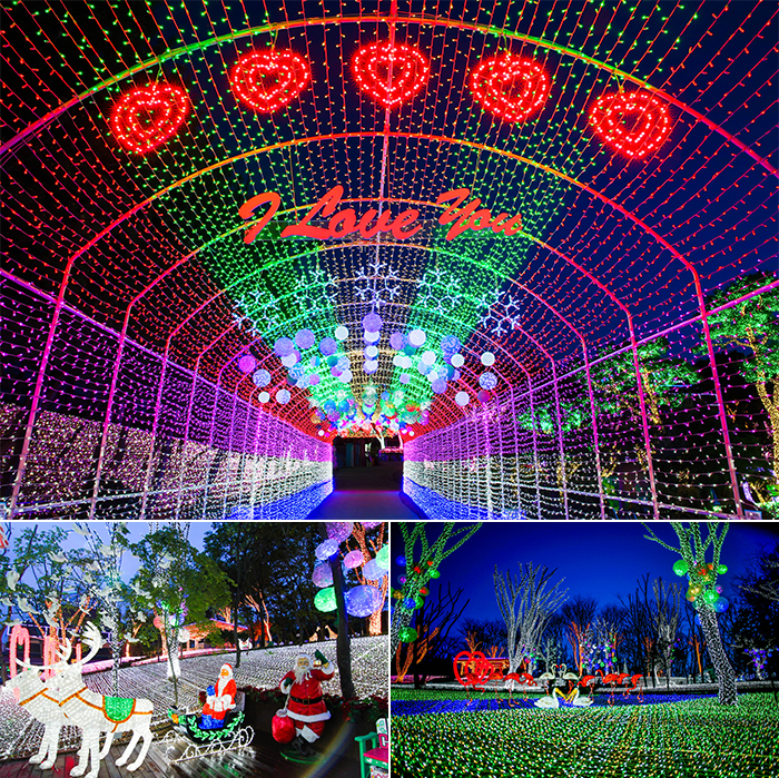 Light Festival at The Ansan Starlight Village Photo Land 안산 별빛마을 포토랜드 빛축제