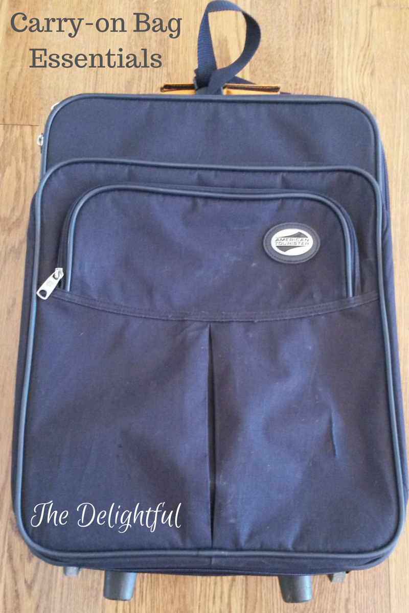 The Delightful Travel Tips Carryon Bag Essentials