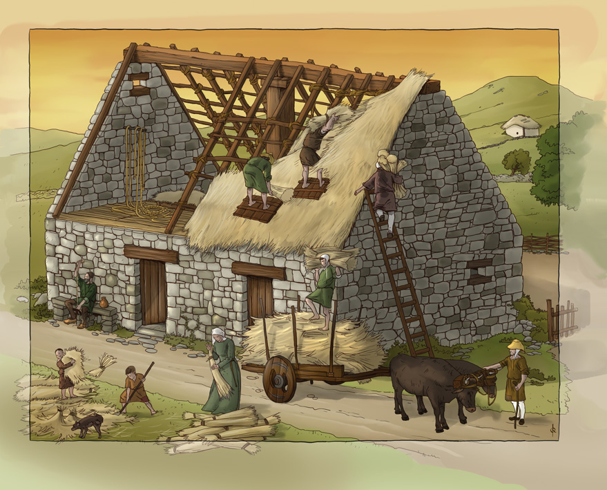 me gusta la historia de primero: La vida de campesinos en la Edad Media  (18-19 de noviembre)