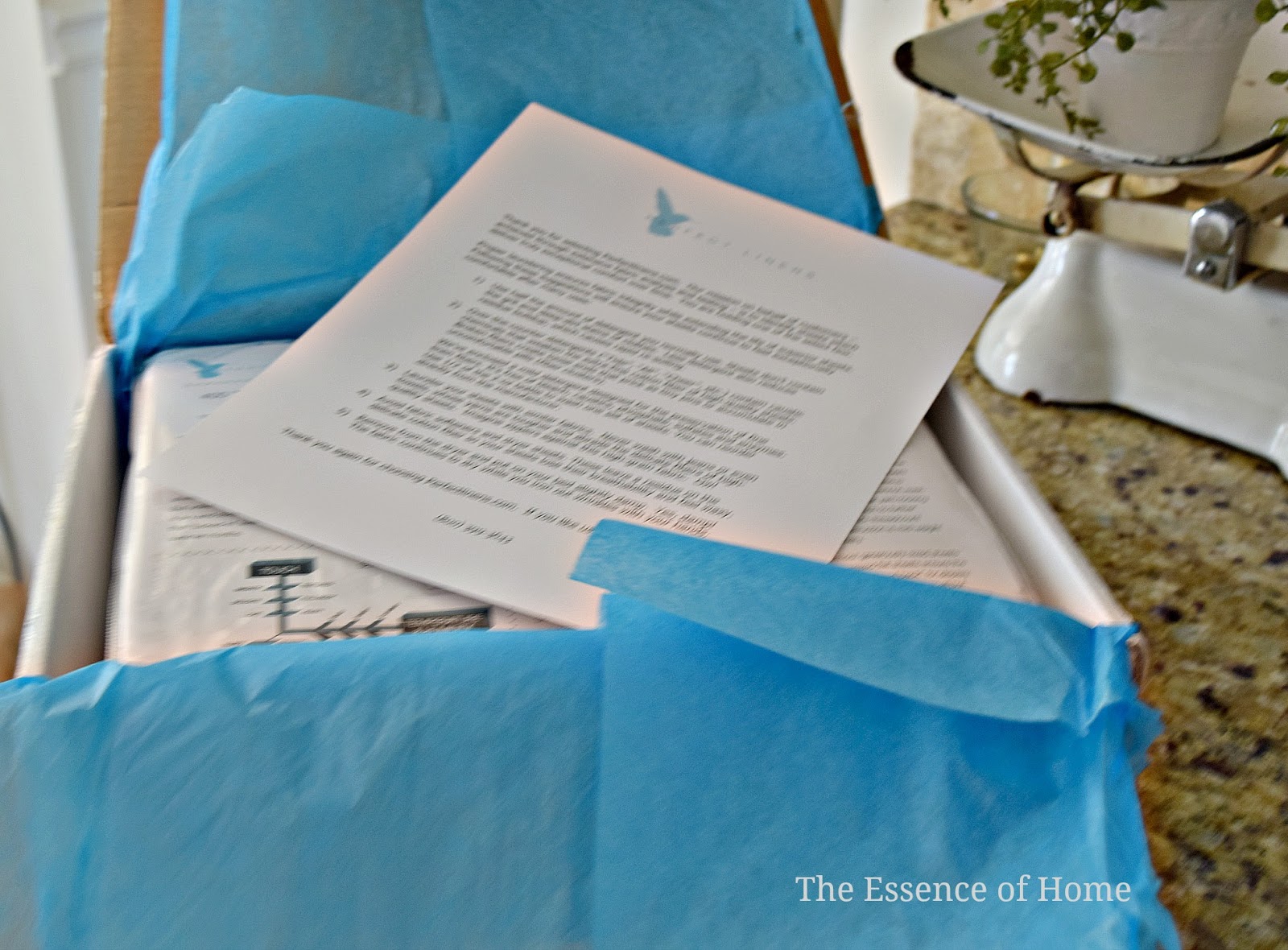 The Essence of Home Cool Summer Sheets