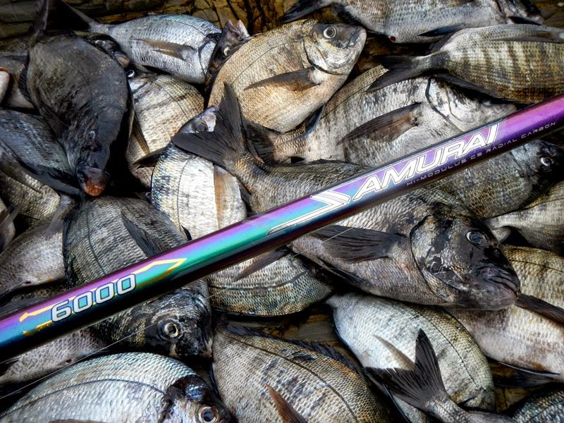 Oceanus Atlanticus: Bóias de pião o TT na pesca à bóia