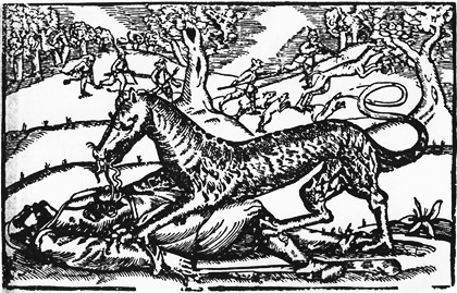 Lobos, perros, zorros y otros cánidos míticos, fabulosos y legendarios Perro+fantasma+01