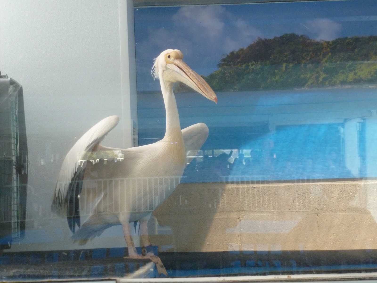 Adventures In Rhode Island Dining Clearwater Marine Aquarium Home of