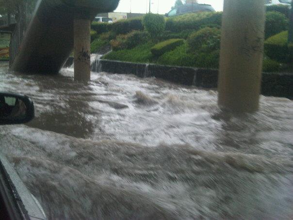 Tintero Económico Diario: agosto 2011