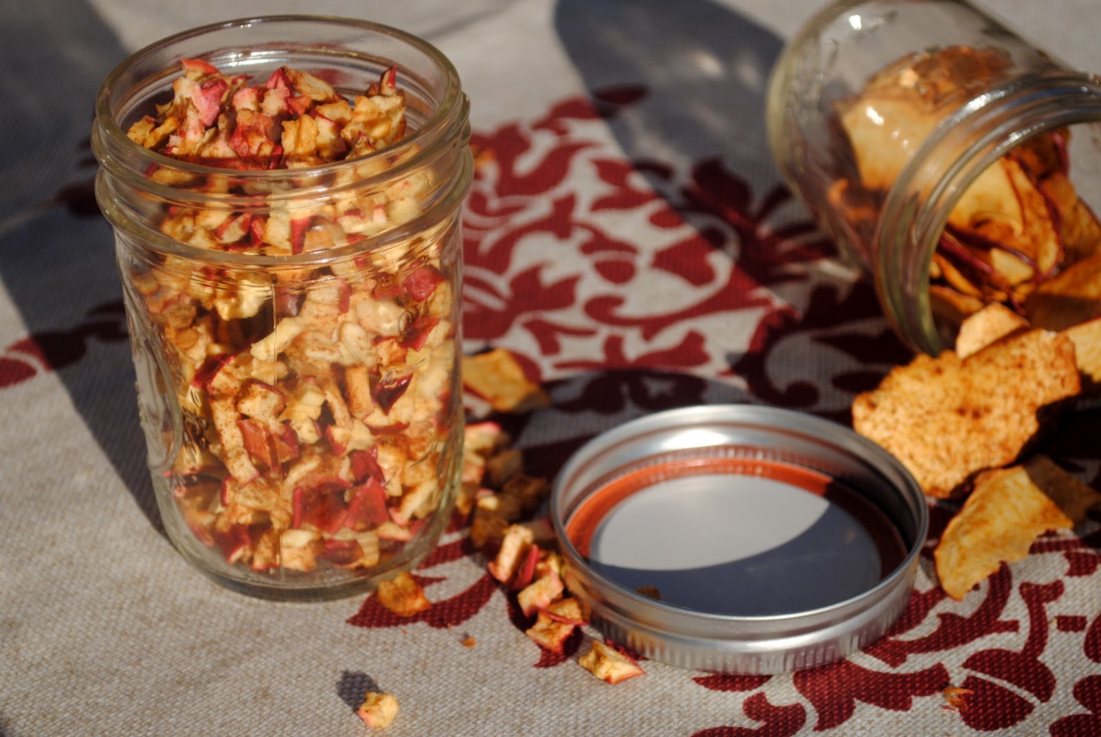 Homemade Dried Apple Chips Fit Foodie Finds