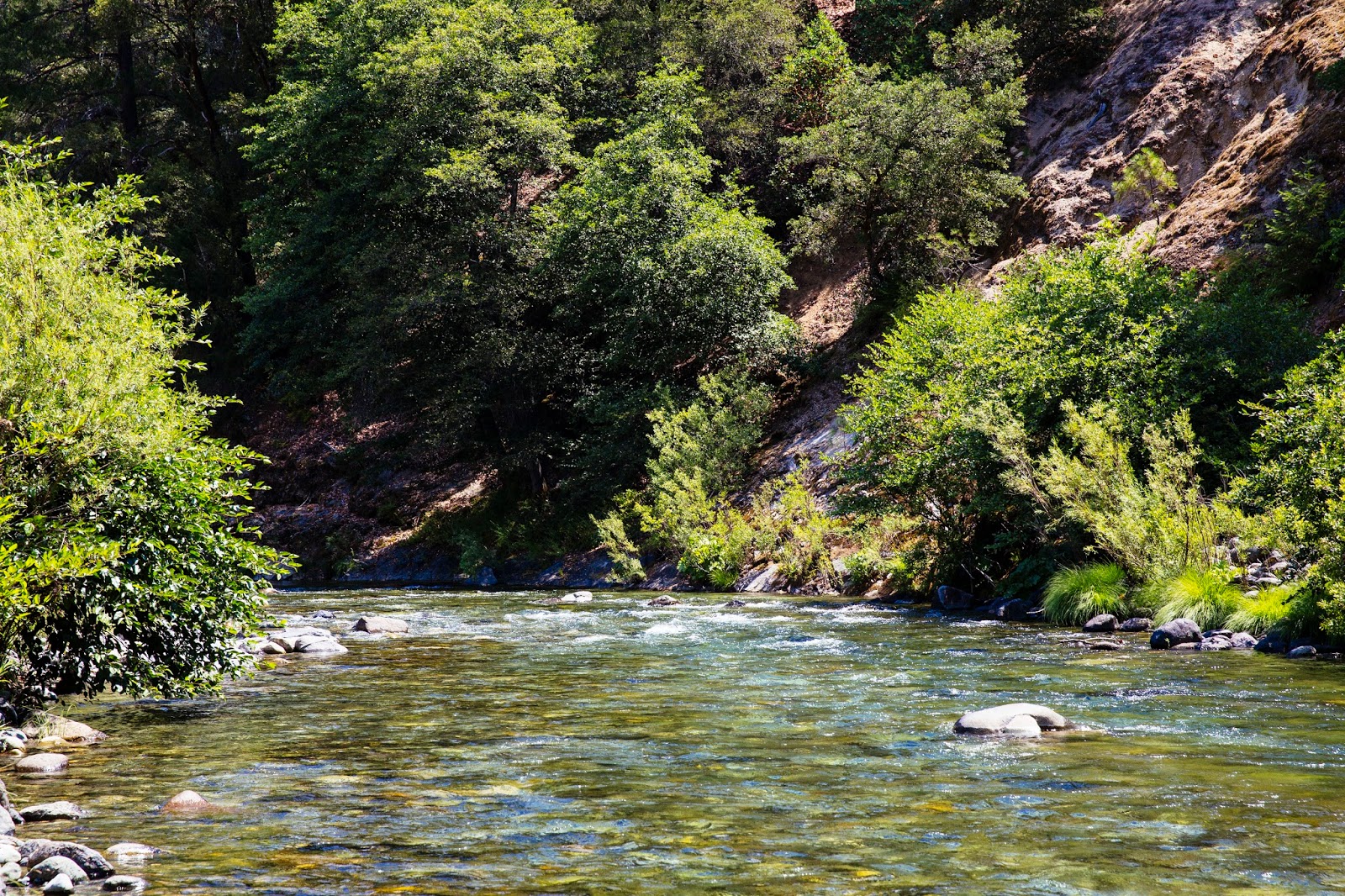 This Little Egge Summer Camping Trip 2 Rocky Rest, North Yuba River